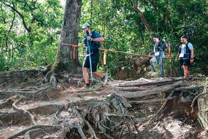 BIB: 
                            <button type="button" onclick="openModal(27720276)" class="btn btn-primary btn-sm float-right btn-popup" data-toggle="modal" data-target=".modal-high-quality">
                        <i class="fas fa-shopping-cart"></i> Add to Cart
                    </button>
                                            <button type="button" onclick="isThisMe(27720276, true)" class="btn btn-success btn-sm float-right btn-popup btn-isme hidden" data-toggle="tooltip" data-placement="bottom" title="นี่คือรูปของคุณใช่ไหม คลิกที่นี่เพื่อเอาเข้าอัลบั้ม">
                        <i class="fas fa-plus"></i> Add to album
                    </button>
                    <button type="button" onclick="isThisMe(27720276, false)" class="btn btn-warning btn-sm float-right btn-popup btn-isnotme hidden">
                        <i class="fas fa-ban"></i> Remove from album
                    </button>